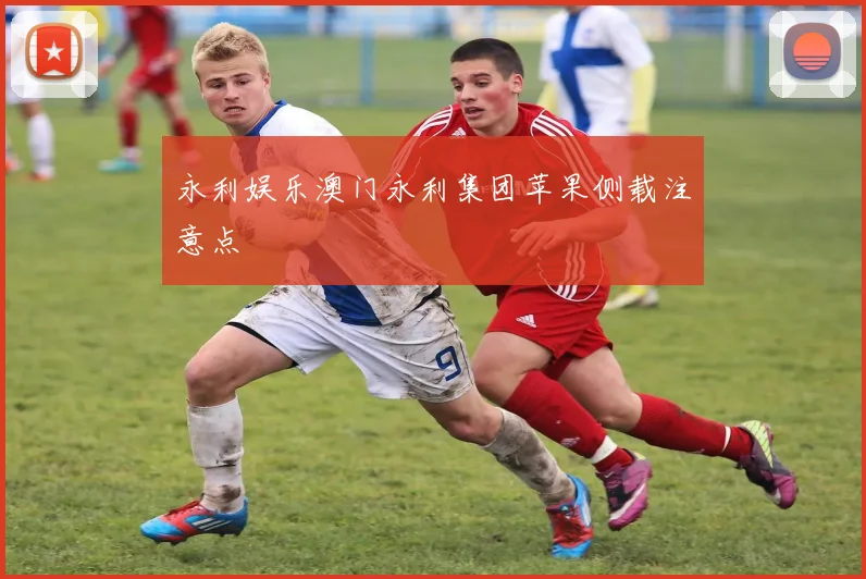 永利娱乐澳门永利集团苹果侧载注意点