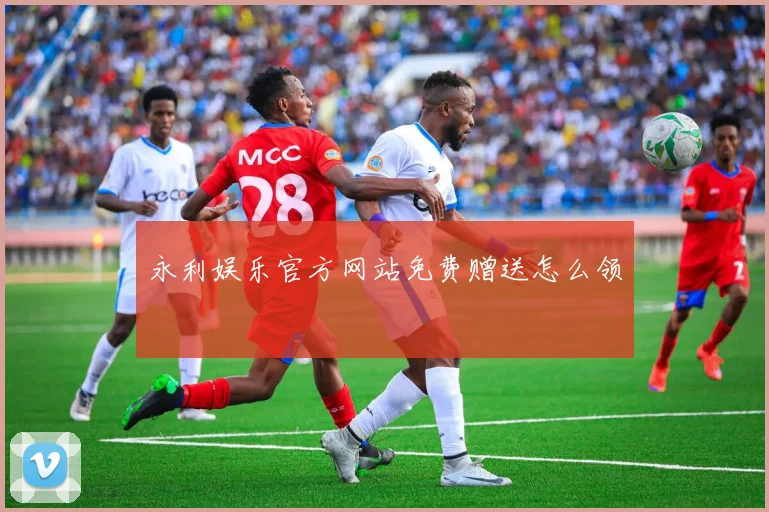 永利娱乐官方网站免费赠送怎么领
